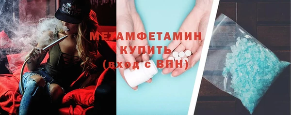 индика Мегион