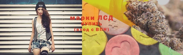 индика Мегион