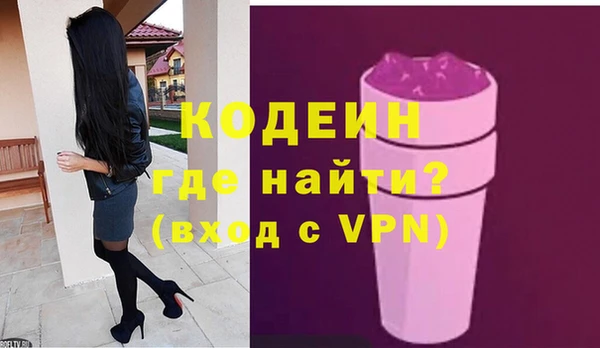 индика Мегион