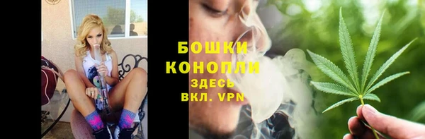 ECSTASY Майский