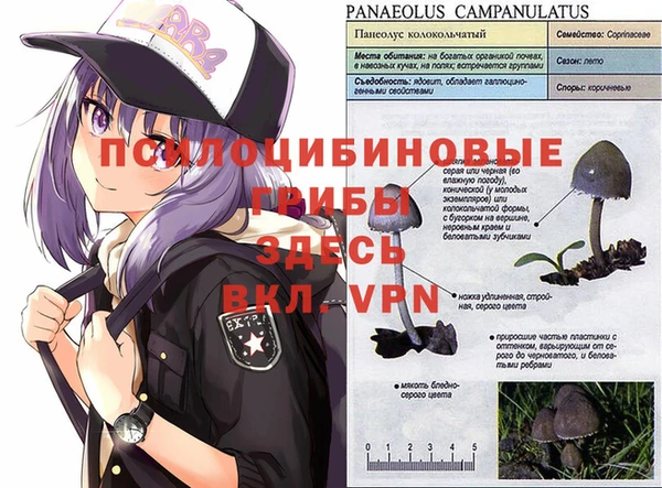 индика Мегион