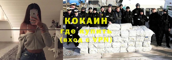индика Мегион