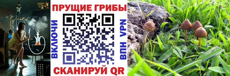 Галлюциногенные грибы Magic Shrooms Купить закладки Реж